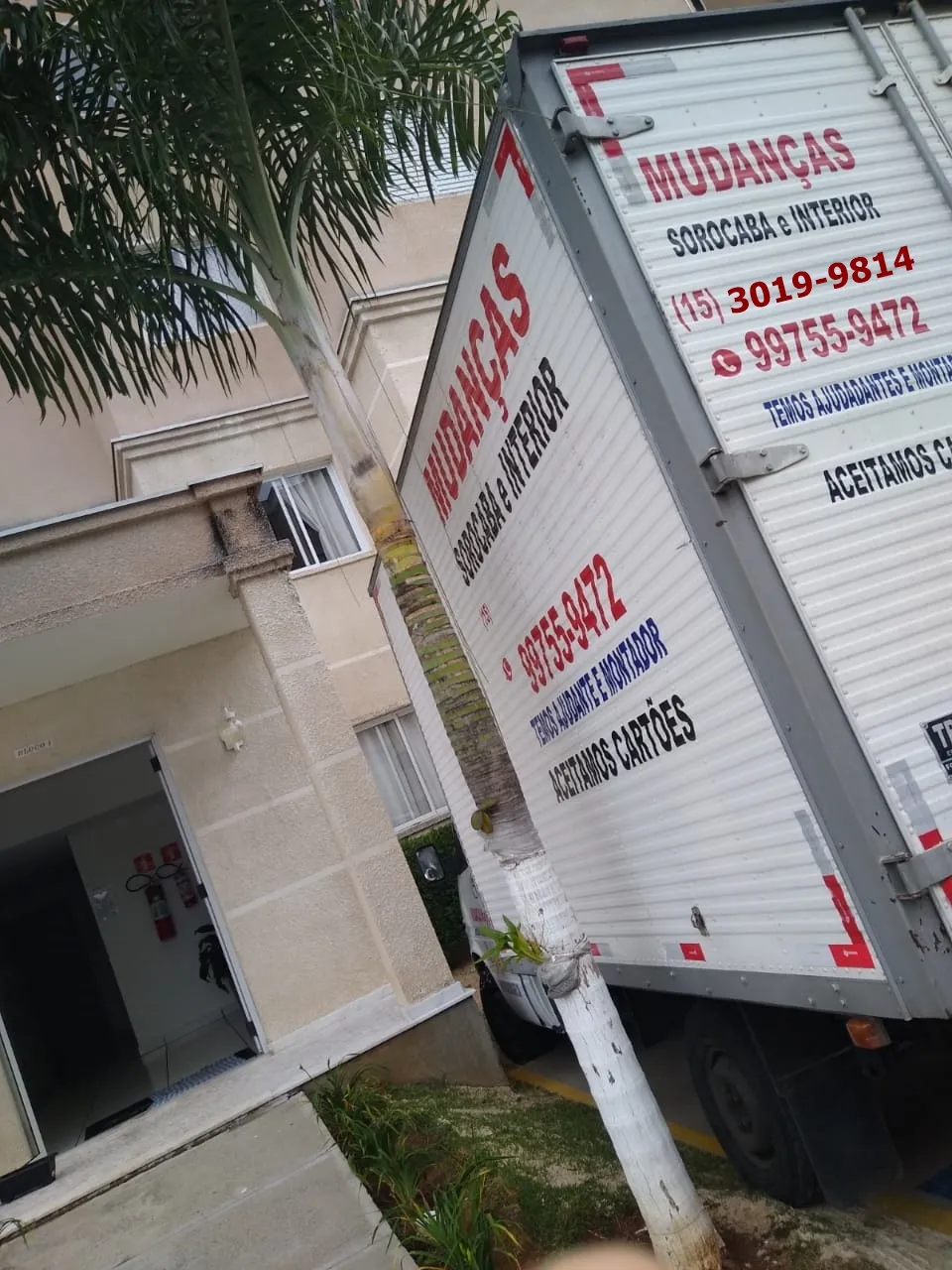 Imagem 17